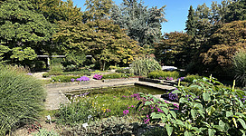 Bereich Senkgarten im Botanischen Garten Linz