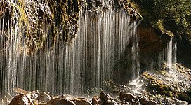 Ein malerischer Wasserfall, der sanft über steile Felsen fließt. Umgeben von grüner Vegetation und glatten Steinen.