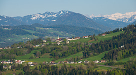 Blick von der Fluh (Bregenz) auf die Gemeinde Buch  in Vorarlberg.