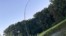 Ein Angler steht am Ufer eines ruhigen Gewässers und zieht seine Angelrute nach oben. Im Hintergrund sind grüne Bäume und frisches Laub zu sehen.