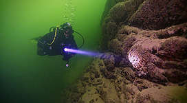 Adventure Diving - Taucher