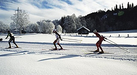 Drei Skifahrer gleiten über einen mit Schnee bedeckten Weg. Im Hintergrund sind verschneite Bäume und eine Holzhütte zu sehen.