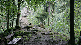 Rastplatz Kerzenstein in Feldkirchen an der Donau: Ein verwunschener, waldiger Pfad, gesäumt von moosbedeckten Felsen und majestätischen Bäumen. Die Umgebung ist üppig und natürlich, mit einem ruhigen, friedlichen Ambiente. Ein Bänkchen lädt zum Verweilen ein und vermittelt den Eindruck einer idyllischen Waldlandschaft.