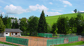 Tennis in Lembach in Lembach im Mühlkreis: Eine grüne, offene Fläche mit frisch geschnittenem Rasen. Mehrere hohe Nadelbäume, vermutlich Tannen oder Fichten, säumen die Landschaft. Auf der Fläche befindet sich ein umzäunter Tennisplatz mit einer Infotafel dazu. Insgesamt eine ansprechende, ländliche Umgebung mit gepflegtem Erscheinungsbild.