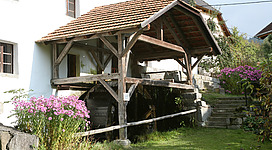 Museum, Natur, Freilichtmuseum Ledermühle, Wasserrad, Mühlviertel