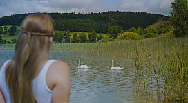 Mattsee in Lochen: Eine idyllische Szenerie mit einem Gewässer, in dem zwei Schwäne schwimmen. Am Ufer ist eine Person zu sehen, die das Geschehen beobachtet. Die Umgebung ist von grünen Bäumen und Büschen geprägt, die eine friedliche und naturnahe Atmosphäre schaffen.