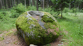 Schalenstein - Steinwald - Brunnwald