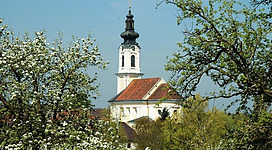 Der `Innviertler Dom` im Frühling