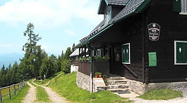 Ein gemütliches Holzhaus in den Bergen, umgeben von Bäumen und einer idyllischen Landschaft. Der Weg führt sanft zum Eingang des Hauses.