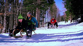 Zwei Kinder und ein Erwachsener fahren fröhlich mit dem Schlitten den verschneiten Weg hinunter. Die Umgebung ist von hohen Bäumen umgeben und die Sonne scheint.