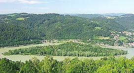 Insel Wörth in St. Nikola an der Donau: Eine Landschaft mit hügeligem, grünen Gelände, durchzogen von Wäldern und Feldern. In der Mitte des Bildes befindet sich eine Ansiedlung von Gebäuden mit traditioneller Architektur, umgeben von Bäumen.