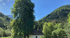Eine kleine Kapelle umgeben von hohen Bäumen und grünen Wiesen. Im Hintergrund erheben sich majestätische Berge unter einem blauen Himmel.