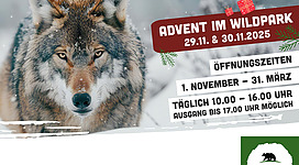 Cumberland Wildpark Winteröffnungszeiten 2025/2026