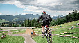 Biken in der woom Bike Area