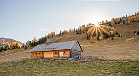 Eine malerische Holzscheune in sanften Hügeln. Die Sonne geht hinter den Bergen auf und beleuchtet die herbstlichen Bäume.