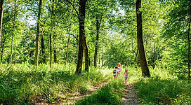 Durch die Antheringer Au wandern