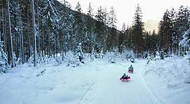 Ein verschneiter Waldweg mit zwei Personen auf Schlitten. Umgeben von hohen Bäumen und einer winterlichen Landschaft.